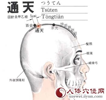 通天穴|通天的准确位置图片